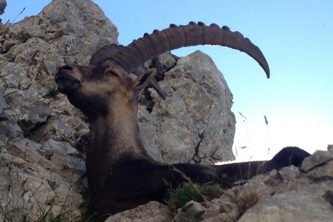 Travel with Swissness - Exploring the Stops in Detail