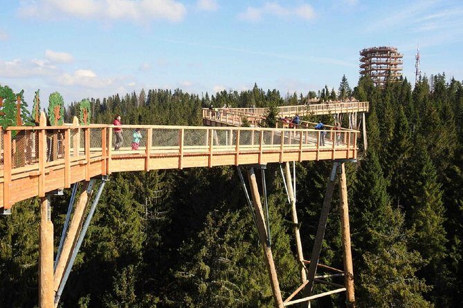 Treetop Walk in Slovakia and Thermal Baths from Krakow - Real Traveler Perspectives