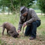 Truffle Cavage Demonstration - Discovering the Truffle Cavage Demo: A Truly Unique Experience in Beaune
