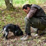Truffle Hunt & Bio Lunch in Assisi - The Value and Who it’s For