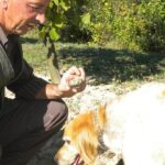 Truffle Hunt & Wine Tasting - Who Is This Tour Best For?