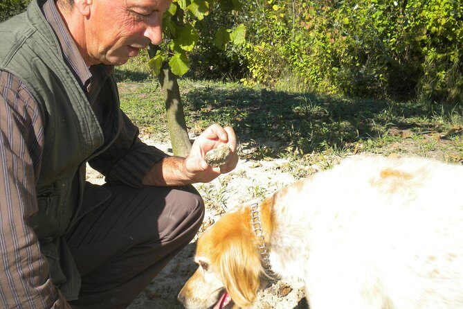 Truffle Hunt & Wine Tasting - Who Is This Tour Best For?