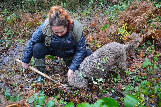 Truffle Hunting Experience with Lunch in San Miniato - FAQs
