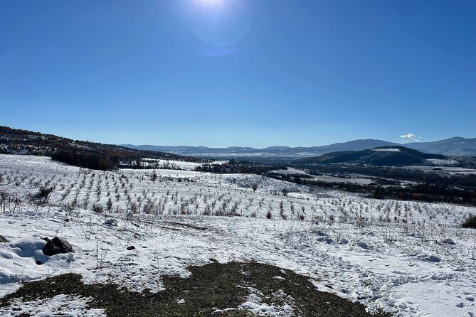 Truffle Hunting in Kyustendil - Final Thoughts