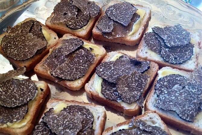 Truffle Hunting in Provence - Who Is This Tour Best For?