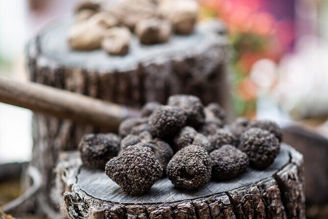 Truffle Hunting with Three Course Meal by Local Family - Who Should Consider This Tour?