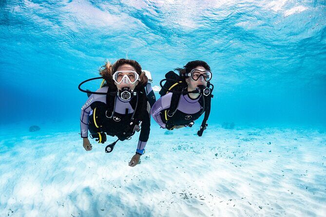 Try Dive - PADI Discover Scuba Diving in Tenerife - The Experience at a Glance