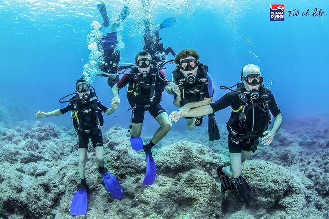 Try Scuba in Crete  Free Certification & Photos (Beginners) - What Travelers Say About the Experience