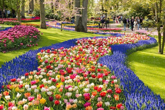 Tulip Experience and Keukenhof Flower Gardens Tour from Amsterdam - The Bonus: Picking Your Own Tulips