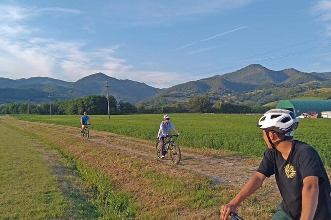 Tuscan countryside bike tour and food tasting - What the Tour Offers in a Nutshell