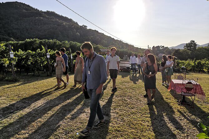 Tuscan Wine Tour in Lucca by van - Transportation and Duration: Comfort and Convenience