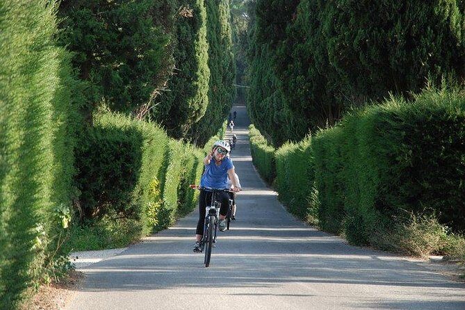 Tuscany Bike Tours Through the Chianti Hills with Wine Tasting - The Highlights: Food, Wine, and Culture