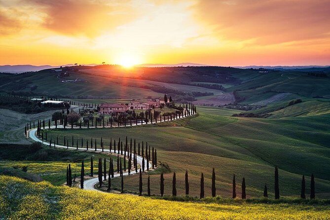Tuscany Countryside including Wine Tasting & Lunch - Private Day Trip from Rome - Who Will Love This Tour?