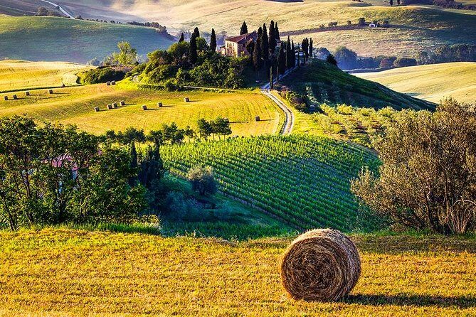 Tuscany Wine & Hills from Florence - The Pros and Cons
