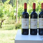 Tuscany Wine Tours in a family winery Podere Pellicciano - Why This Tour Works Well