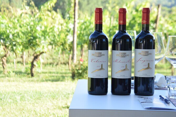 Tuscany Wine Tours in a family winery Podere Pellicciano - Why This Tour Works Well