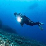 Two Morning Dives in Gozo for Certified Diver - The Value of This Experience