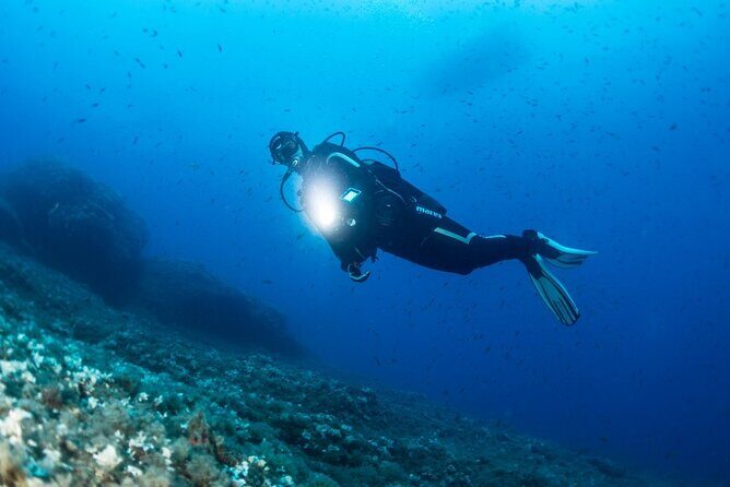Two Morning Dives in Gozo for Certified Diver - The Value of This Experience