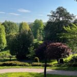 Ultimate Private Minibus tour Blarney,Cork City and Kinsale. - What You Can Expect from the Tour