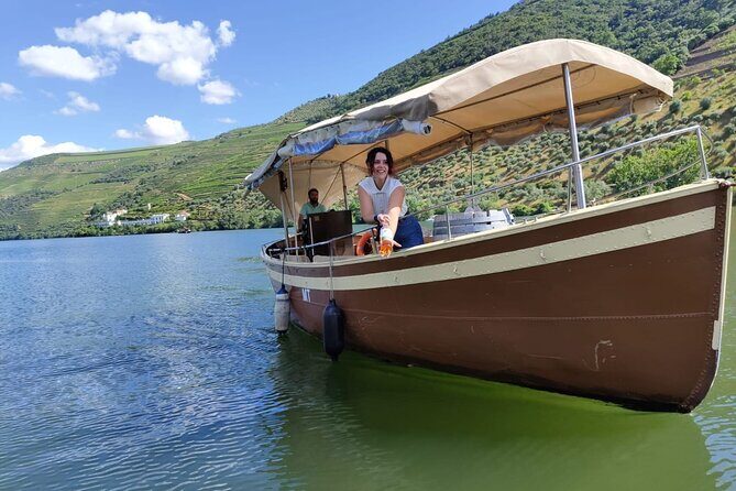 VALE DOURO: Luxury Private Wine Tour, Winery Tour and Cruise - Who Should Consider This Tour?