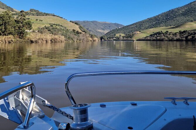 VALE DOURO: Premium Wine, Lunch Wine & Private Boat Tour - Who Will Love This Tour?