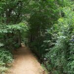 Vale Paraiso - Paradise Valley Walk - What Travelers Say: Authentic Insights