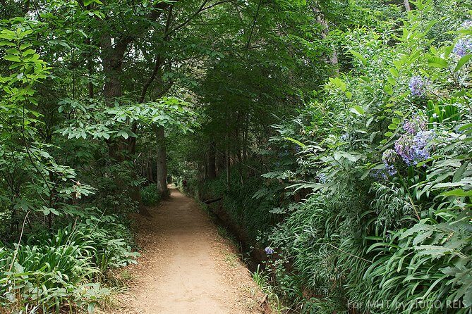 Vale Paraiso - Paradise Valley Walk - What Travelers Say: Authentic Insights