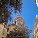 Valencia Private Walking Tour with Official Valencian Guide - A Deep Dive into What You Can Expect