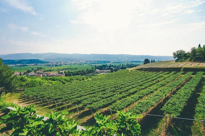 Valpolicella and Amarone Wine-tasting Tour from Verona - What People Are Saying