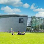 Van Gogh Museum Skip The Line Access - What to Expect from the Experience