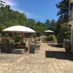 Vegan Charme: Typical Dinner with a Local in Monopoli - A Deep Dive into the Experience