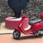 Vespa Tour in Chianti Small Group from Florence - FAQ