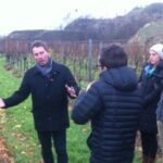 Vienna Wine Experience - Value and Pricing