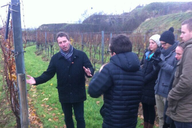 Vienna Wine Experience - Value and Pricing