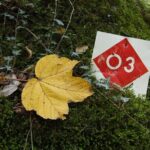 Vikos Gorge crossing hiking from Monodentri to Vikos village - Insights from Hikers Who’ve Been There