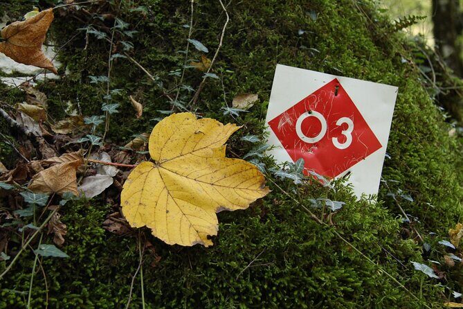 Vikos Gorge crossing hiking from Monodentri to Vikos village - Insights from Hikers Who’ve Been There