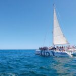 Vilamoura: Algarve 3-Hour Sunset Experience Tour - The Experience from Reviews