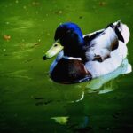 Villa Borghese and Posh Areas Unique Photo Tour and Workshop - What’s Included and What to Expect