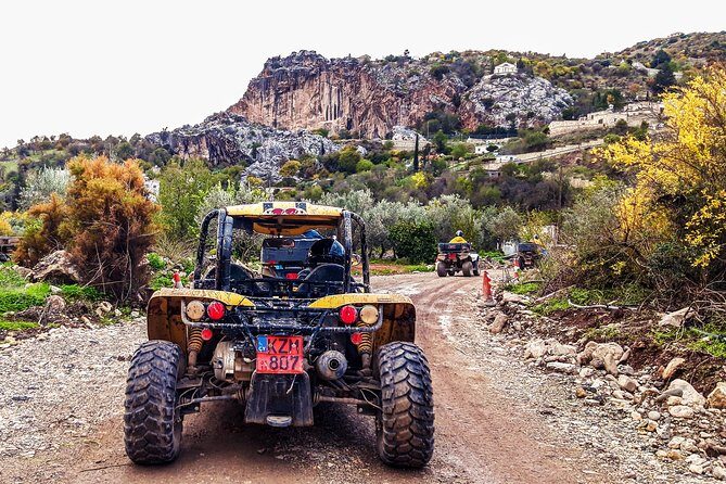 Village & Mountain Buggy Safari in Paphos - What the Reviews Say