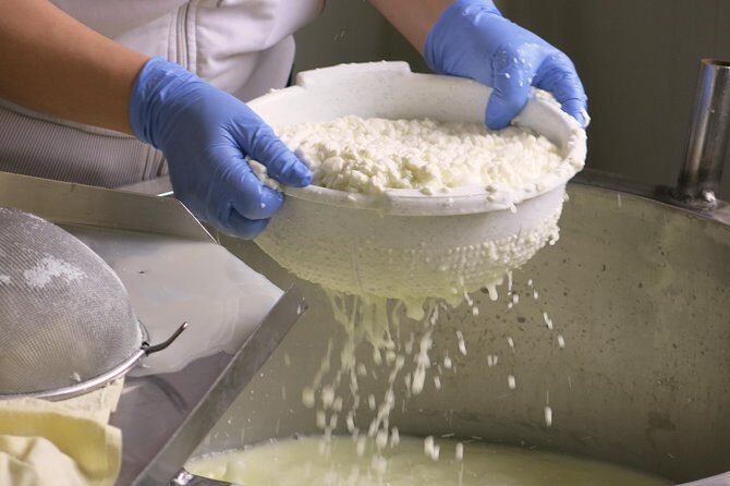 Village Venture: Troodos Mountains Food & Wine Small Group Day Tour - Who Is This Tour Best Suited For?