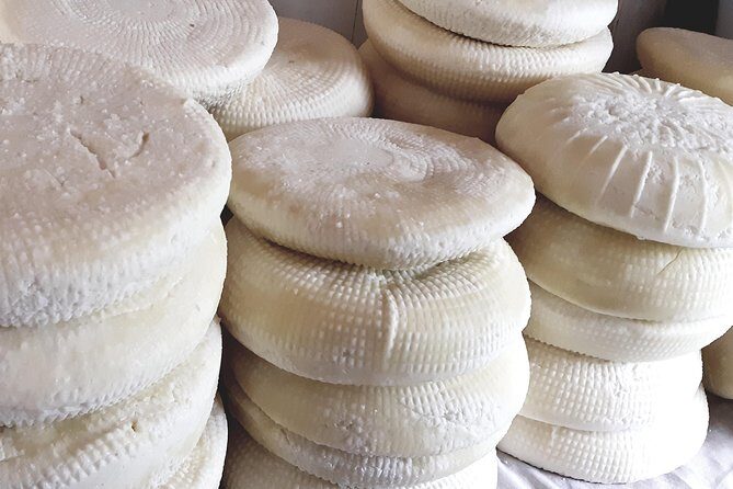 Village Venture: Troodos Mountains Food & Wine Small Group Day Tour - Who Would Love This Tour?