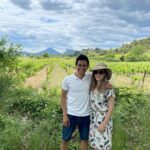 Villages and wine tasting around the Pic Saint Loup - Transportation and Group Dynamics