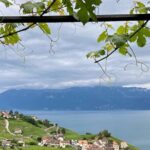 Vine Stories: Lavaux & Lutry wine walk - Frequently Asked Questions