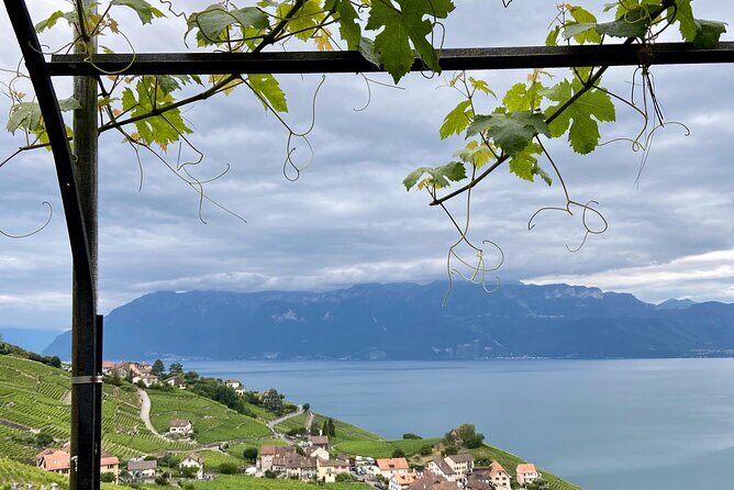 Vine Stories: Lavaux & Lutry wine walk - Frequently Asked Questions