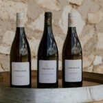 Vineyard tour and wine tasting in Davron - Addressing the Price and Value