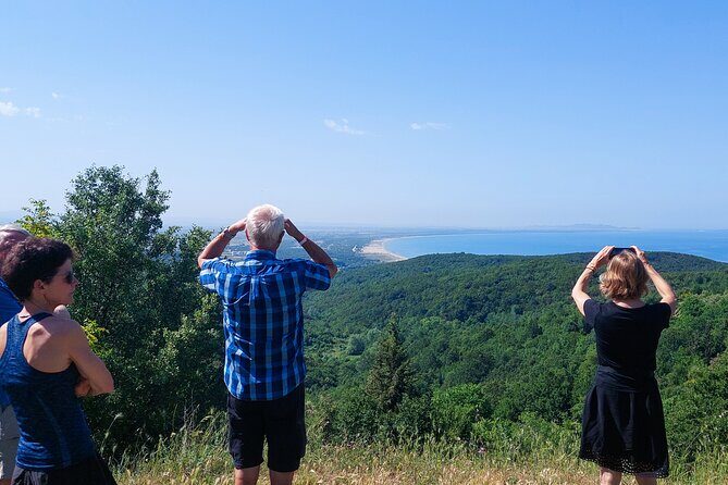 Vineyards, Albanian Wine Food Tasting Tour from Durres/Tirana - Analyzing the Price and Value