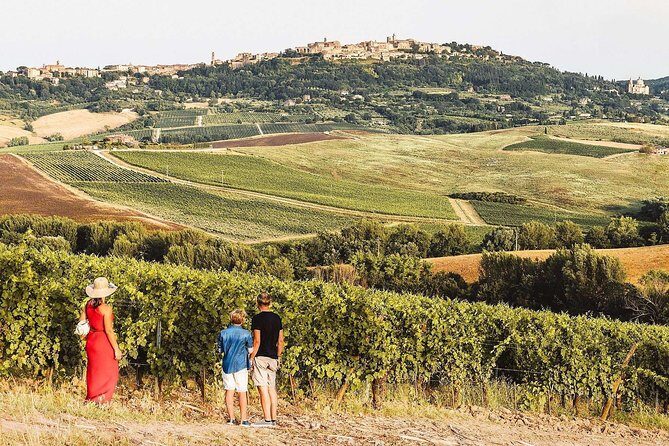 Vino Nobile di Montepulciano Wine Tour - Meet the producers - What Could Be Improved?