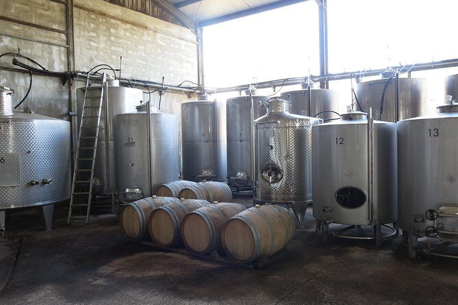 Vino Venture: Explore With A Local - Troodos Mountains thru Wine! - Is This Tour Right for You?