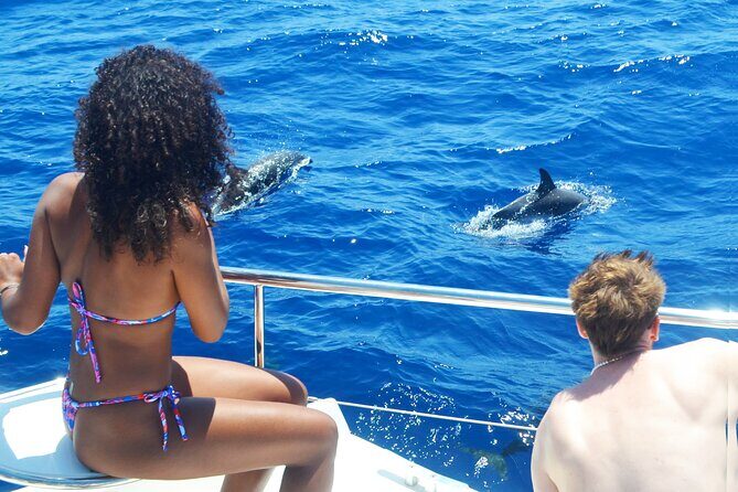 VipDolphins Luxury Whale Watching - The Real Deal: What the Reviews Say