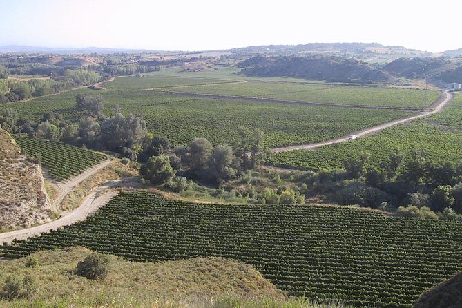 Visit and wine tasting at BODEGA PIRINEOS - Final Thoughts: Is This Tour for You?